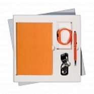 Подарочный набор Portobello/Sky оранжевый (Ежедневник недат А5, Ручка, Смарт браслет) с логотипом или изображением