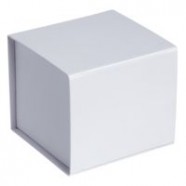 Коробка Alian, белая с логотипом или изображением